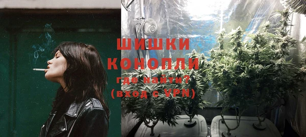 спиды Верея