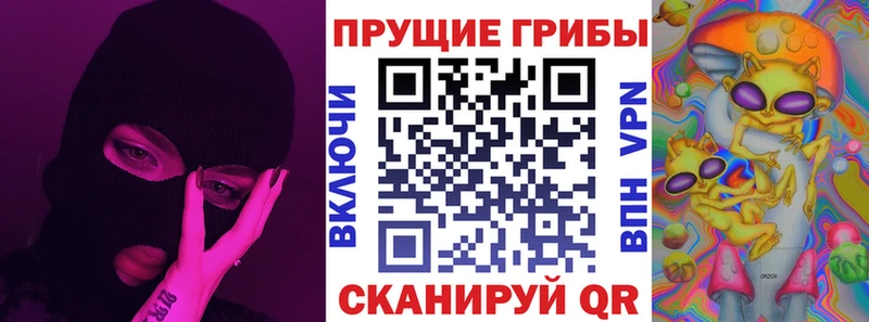купить закладку  Дно  Псилоцибиновые грибы Psilocybe 